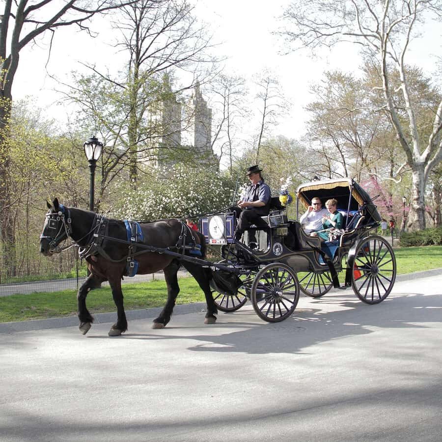 New York City: Central Park Horse Carriage 25-min Ride - Wollman Rink, Carousel, and Chess & Checker House: The First Big Hits