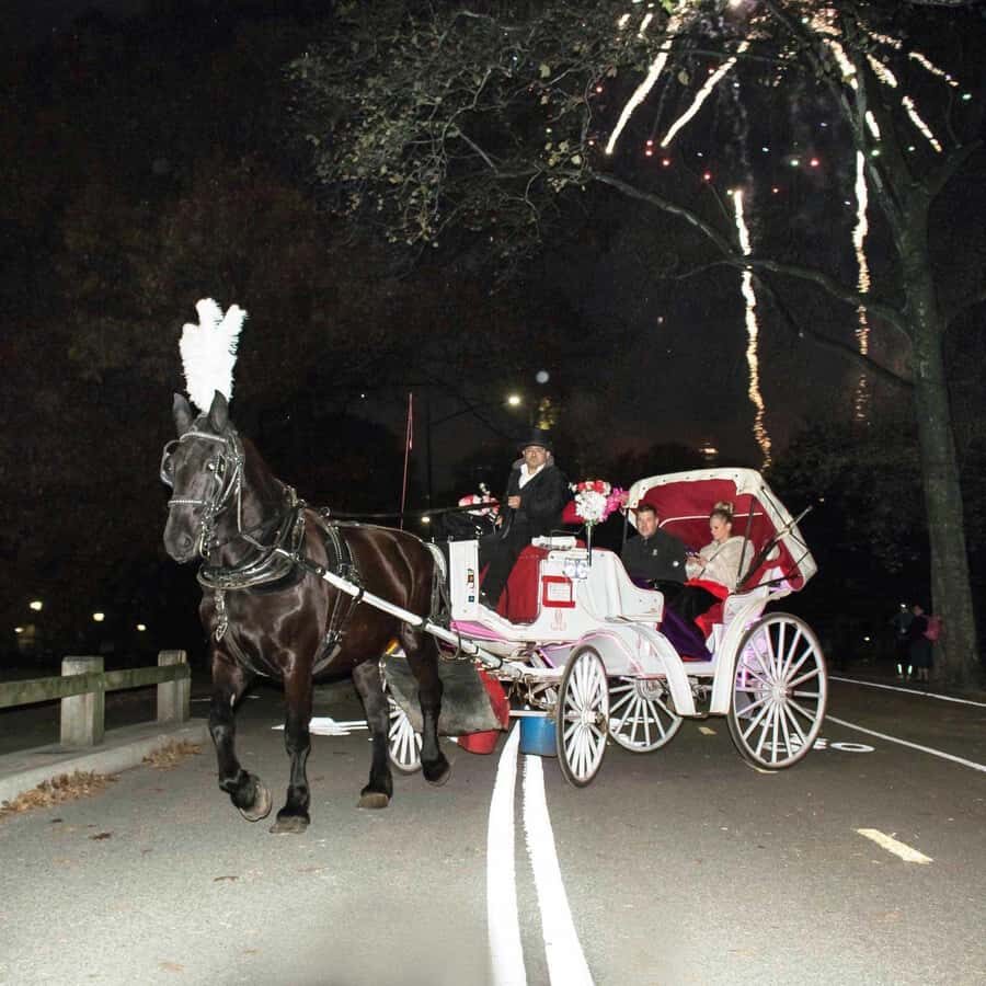 New York City: Central Park Horse Carriage 25-min Ride - The Dairy Photo Stop: Why This Victorian Cottage Matters