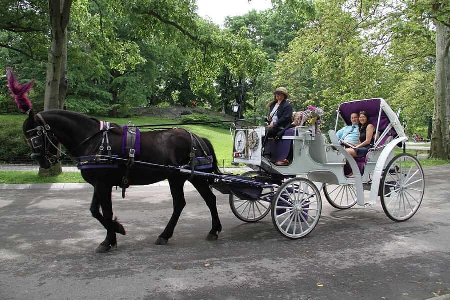 New York City: Central Park Horse Carriage 25-min Ride - The Pond and Plaza Hotel Views: Calm Scenery With City Glamour