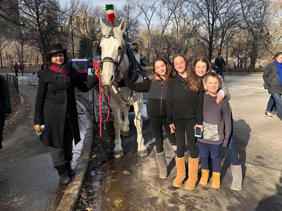 New York City: Central Park Horse Carriage 25-min Ride - Central Park Zoo Pass-By: Quick Animal Interest Without the Commitment