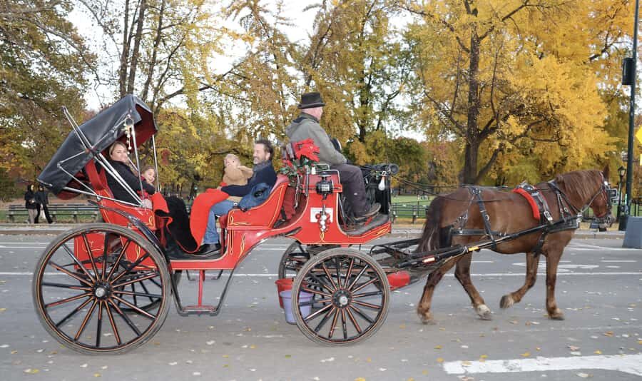 New York City: Central Park Horse Carriage 25-min Ride - What’s Included (and What You’ll Need to Handle Yourself)