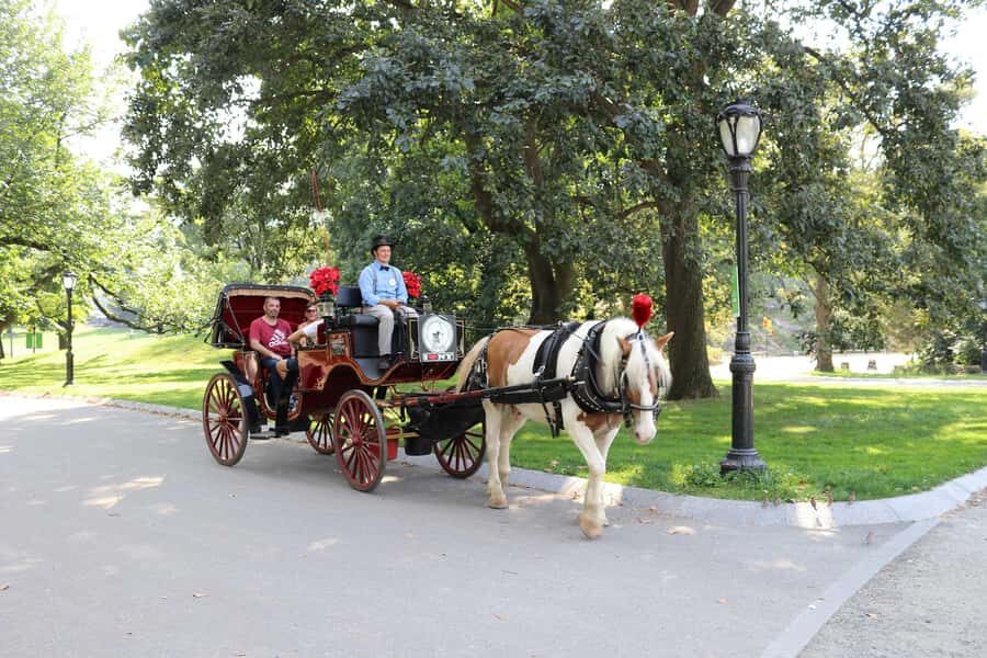New York City: Central Park Horse Carriage 25-min Ride - Finding the Horse Carriage on West Drive (So You Start Stress-Free)
