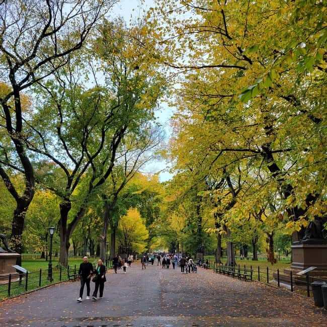 New York City: Gossip Girl Private Tour in Manhattan - Bethesda Terrace: when the city becomes the set