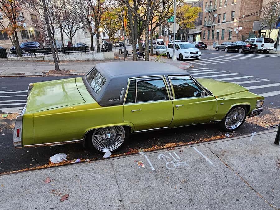New York: Hip-Hop, Murals, Sports, and Dangerous Neighborhoods Tour - Spike Lee’s Studio, Bookstores, and the Movie-City Link