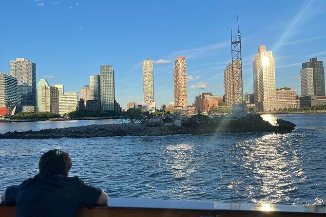 New York Urban Wildlife Sunset Boat Tour - Under the Brooklyn Bridge: a historic landmark from the East River