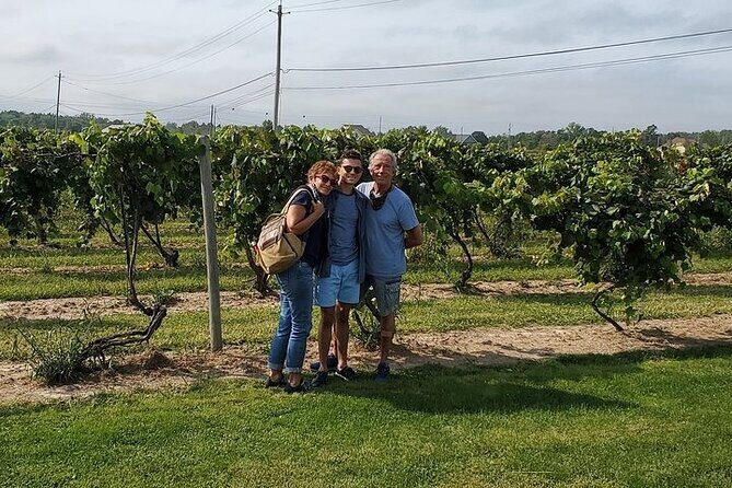 Niagara All American All inclusive Boutique Wine Tour - Wineries on This Route: What You Can Expect at Each Stop