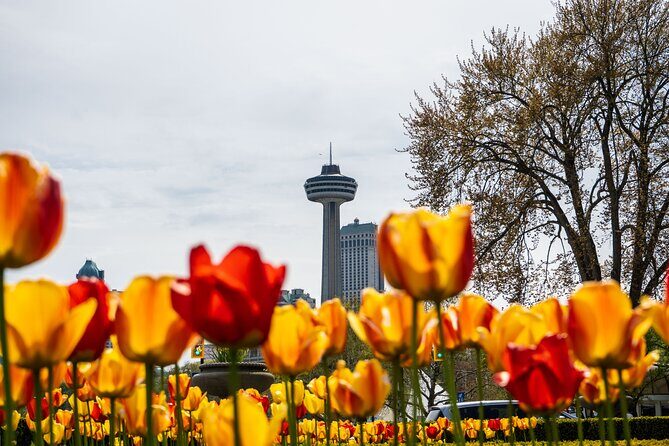 Niagara Falls Canada: Helicopter + Boat + Lunch & more US Pick-up - Floral Clock drive-by: quick color, low effort