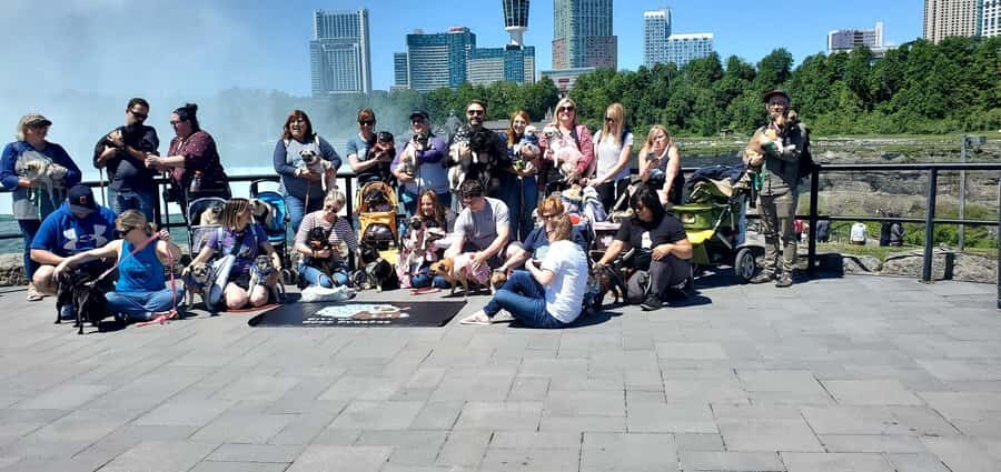Niagara Falls: USA Side Guided Tour - Spring Niagara with fewer headaches and better views