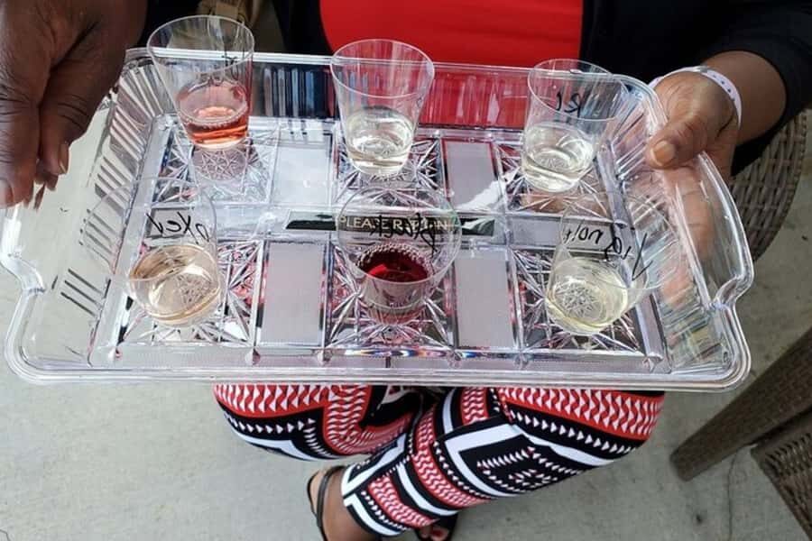 Niagara Falls: USA Small-Group Boutique Wine Tour - Bella Rose Vineyard & Winery: Vineyard Views and Real Tasting Time