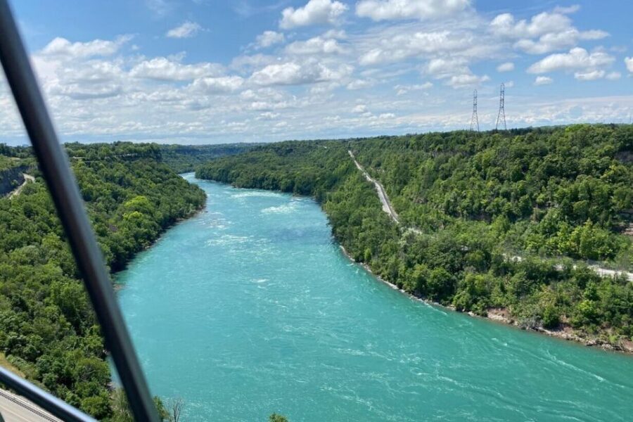 Niagara Falls: USA Small-Group Boutique Wine Tour - Low-Sulfite Winemaking: The Headache Question, Explained Simply