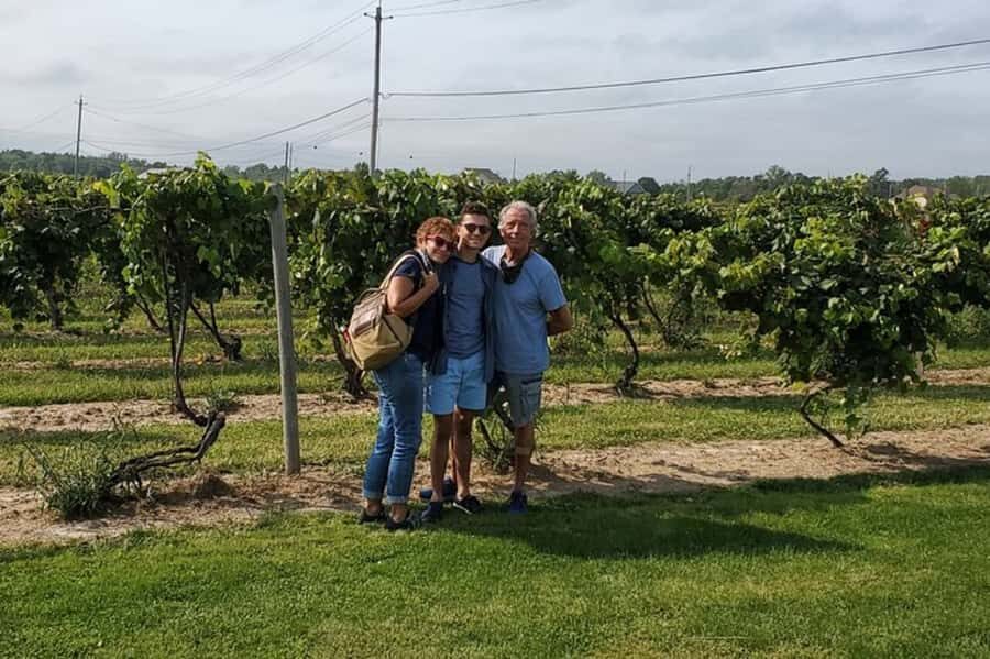 Niagara Falls: USA Small-Group Boutique Wine Tour - Pickup, Van Time, and the Small-Group Comfort Factor