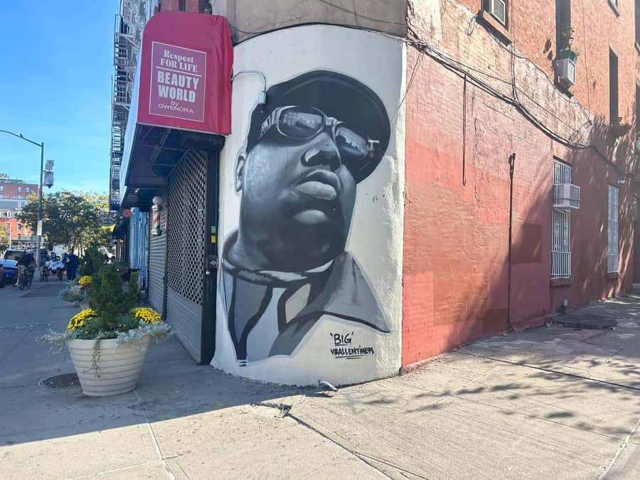 NYC, Brooklyn: Notorious Biggie Smalls Themed Walking Tour - Why Downtown Brooklyn and Fort Greene fit a Biggie tour so well