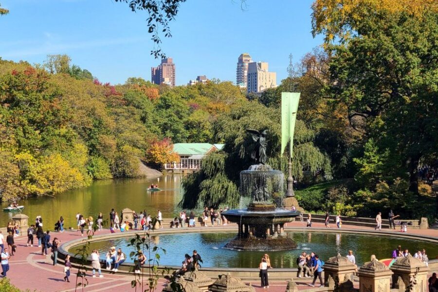 NYC: Central Park Bike Rentals - Where You Meet at 56 W 56th St and How to Check In Fast