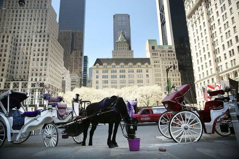 NYC: Central Park Christmas Lights Horse-Drawn Carriage Ride - Key highlights you’ll care about
