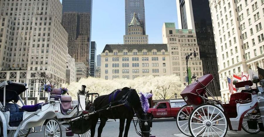 NYC: Central Park Christmas Lights Horse-Drawn Carriage Ride - A 45-Minute Central Park Night With a Carriage Ride Feel