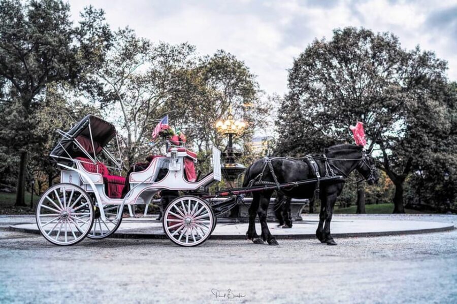 NYC: Central Park Christmas Lights Horse-Drawn Carriage Ride - Comfort Level: What the Blanket Changes