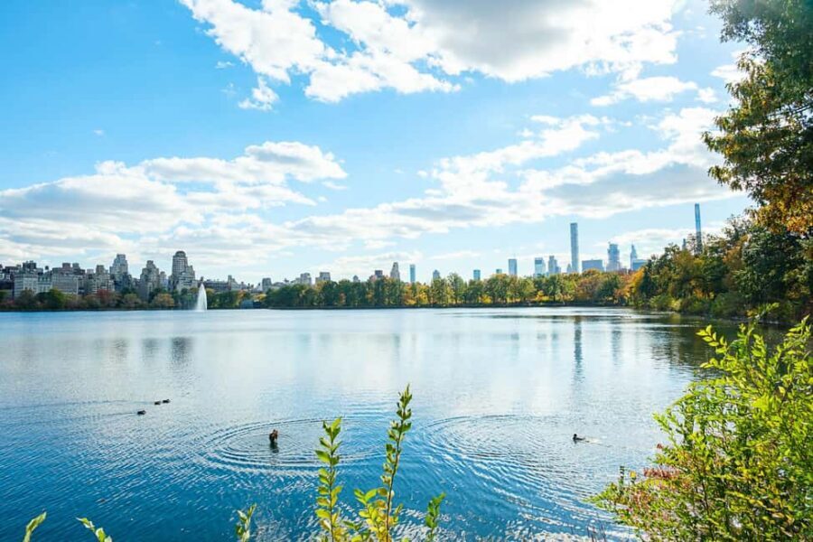 NYC: Central Park Elf & Home Alone Film Spots Pedicab Tour - Should You Book This Central Park Pedicab Movie Tour?