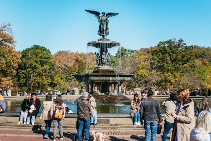 NYC: Central Park Guided Pedicab Tour - Where you meet and how the timing works