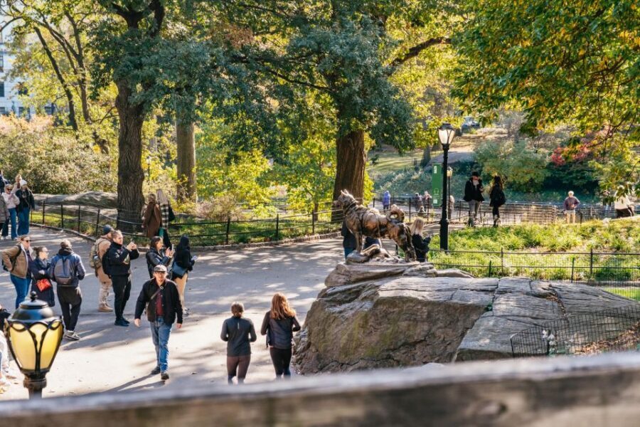 NYC: Central Park Guided Pedicab Tour - From the Mall to the lake: water, wildlife energy, and big-name views