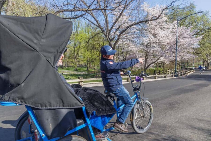 NYC: Central Park Pedicab Tour and Natural History Access - Key moments worth knowing before you go