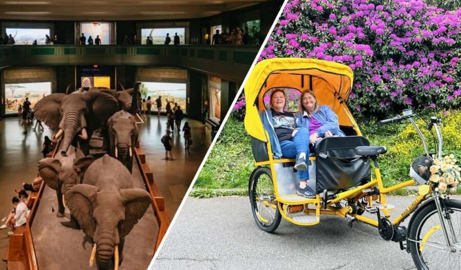 NYC: Central Park Pedicab Tour and Natural History Access - Bethesda Fountain and Bow Bridge: the classic photo stops that deliver