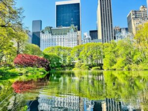 NYC: Central Park Pedicab Tour with Photo Stops - Where You Meet: Mercy Market and 1411 6th Ave