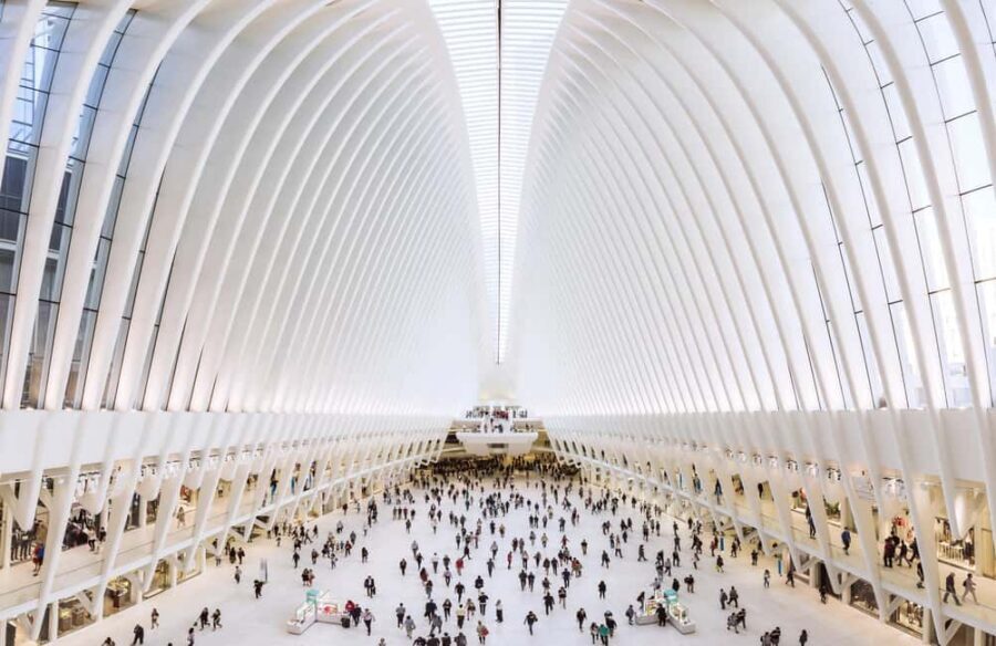 NYC: Downtown, Financial District & Ground Zero Guided Tour - Price and Value: Is $36 Worth It for a Downtown Essentials Tour?