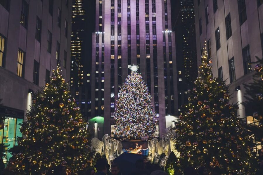NYC: Dyker Heights and NYC Holiday Lights Luxury Bus Tour - Key Highlights Worth Getting Excited About