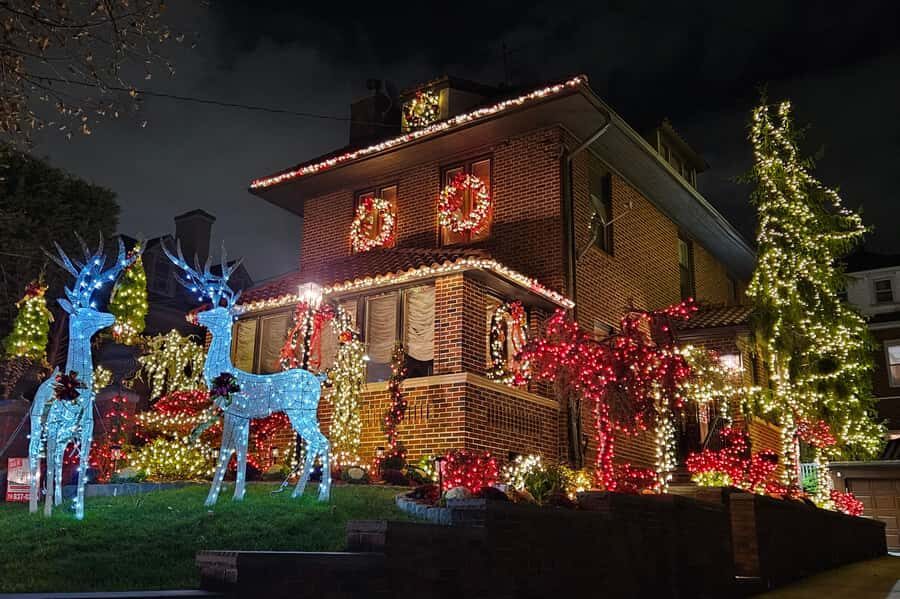 NYC: Dyker Heights Christmas Lights Tour with Hot Cocoa - Hot cocoa, holiday cookie, and the real snack expectations
