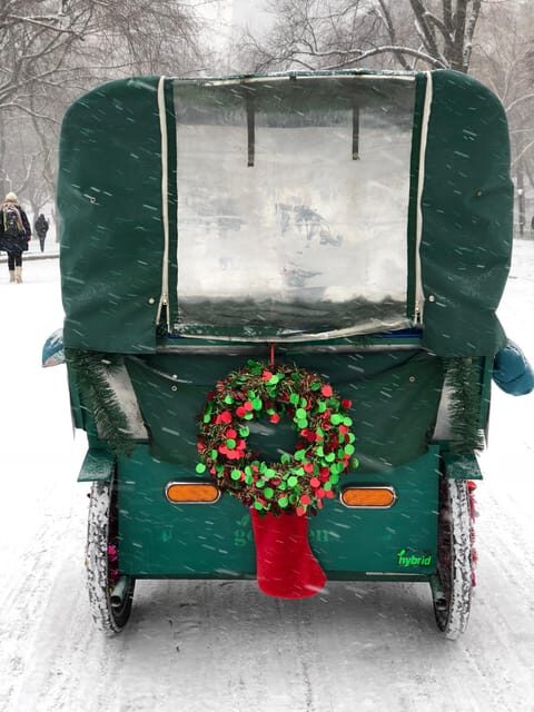 NYC: Elf & Home Alone 2 Locations Central Park Pedicab Tour - Central Park’s movie chase and the tunnel moment