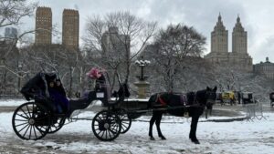 NYC Empire State Horse Carriage Ride in Central Park(45mins) - The vibe on board: what 45 minutes really gives you
