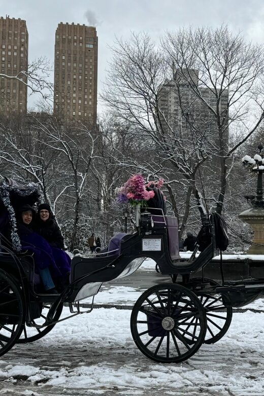 NYC Empire State Horse Carriage Ride in Central Park(45mins) - Bethesda Terrace and Cherry Hill Fountain: why the photo stops matter