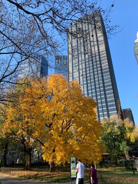 NYC Empire State Horse Carriage Ride in Central Park(45mins) - Winter comfort: blankets, cold-weather planning, and horse care