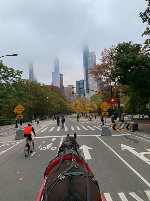 NYC Empire State Horse Carriage Ride in Central Park(45mins) - Price and value: is $140 per group worth it?