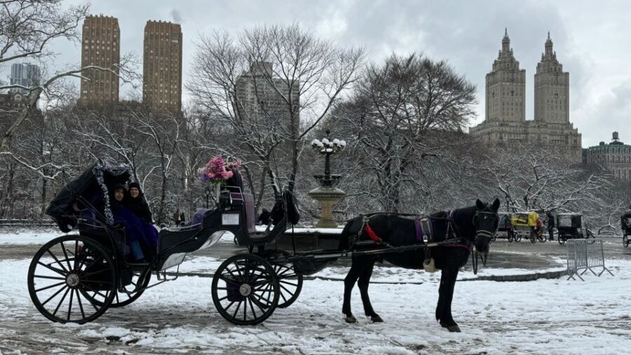 NYC Empire State Horse Carriage Ride in Central Park(45mins) - The vibe on board: what 45 minutes really gives you
