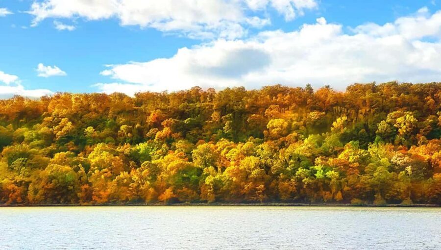 NYC: Fall Foliage Cruise with Live Guide - Should you book it? A quick decision guide