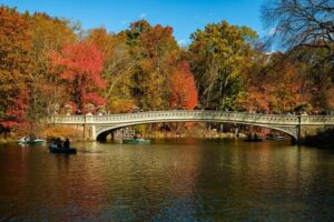 NYC: Guided Central Park Private Pedicab Tour - Start at 1415 6th Ave: Easy Meeting Point, Clear Plan