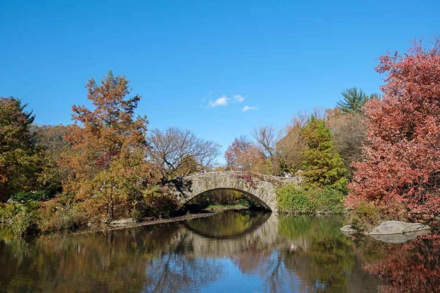 NYC: Guided Central Park Private Pedicab Tour - Tavern on the Green and Sheep Meadow: Finish with Open Space