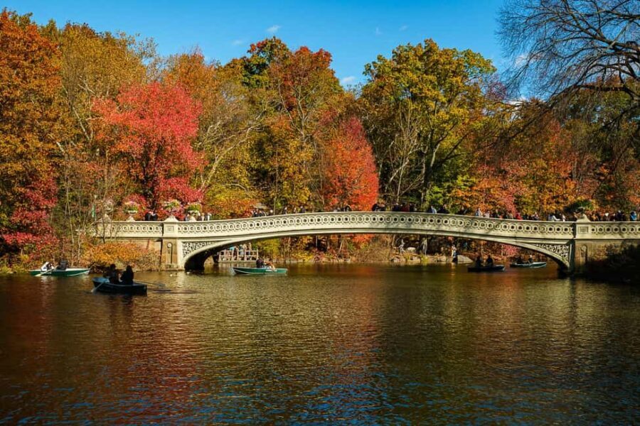 NYC: Guided Central Park Private Pedicab Tour - Start at 1415 6th Ave: Easy Meeting Point, Clear Plan