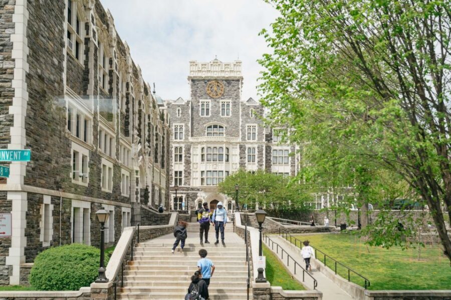NYC: Harlem & Bronx with Yankees Baseball Game, 1-Day Tour - Guides matter: what you should look for on your day