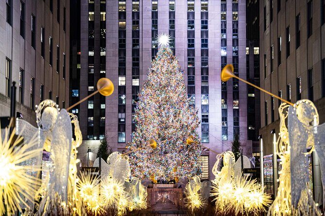 NYC Holiday Lights and Dyker Heights Luxury Bus Tour - Key things to know before you go