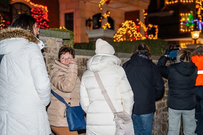 NYC Holiday Lights and Dyker Heights Luxury Bus Tour - Who this tour suits best (and who should skip it)