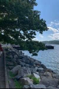NYC: Hudson Tour with Sleepy Hollow and Walkway Over Hudson - Meeting in Midtown: where to start and what to expect on the first transfer