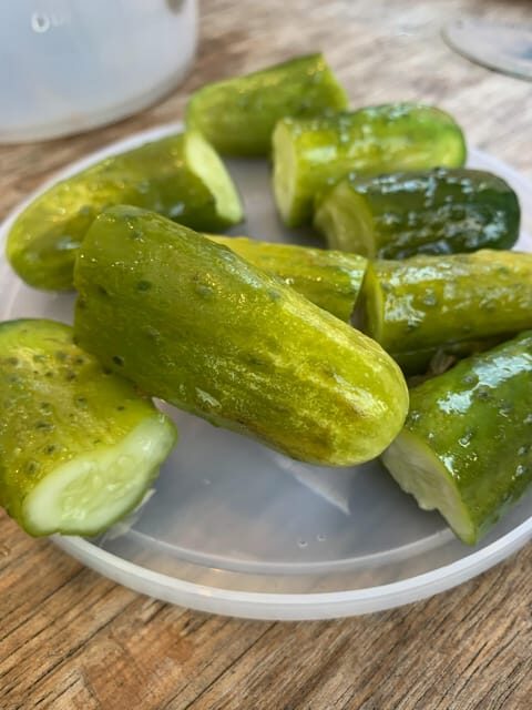 NYC: Lower East Side Walking and Food Tasting Tour - Kossar’s Bagels & Bialys: the bread stop that rewards focus
