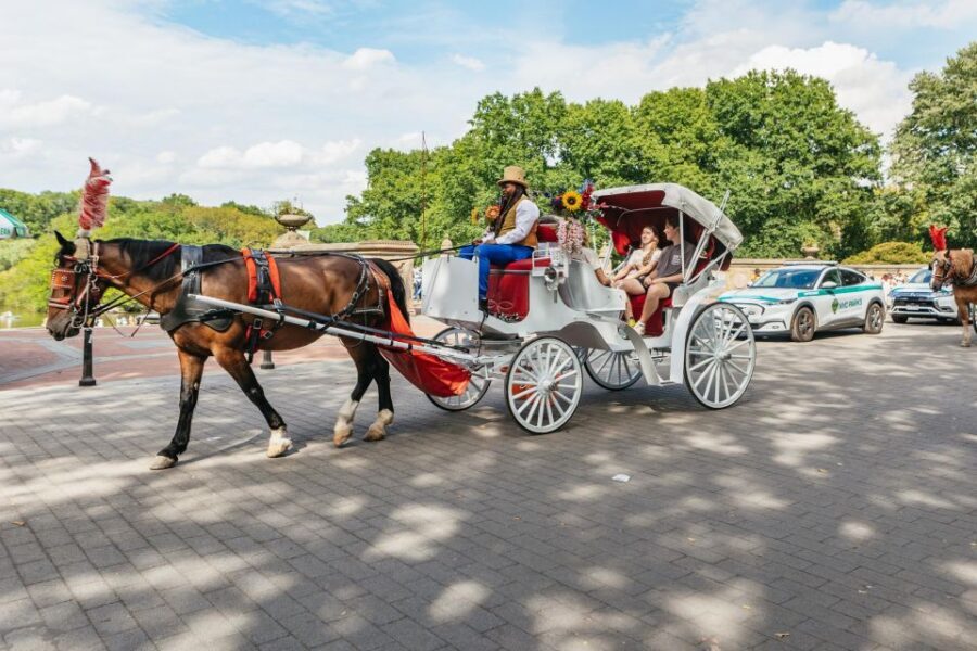 NYC MAGICAL NIGHT TIME RIDE Central Park/Rockefeller Center - Price and value: $230 per group up to 4