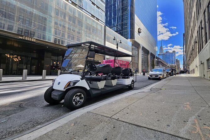 NYC: New York History & Landmarks Guided City Tour by E-Cart - Hudson Yards, the Vessel, and the Edge area: modern Manhattan with quick stops