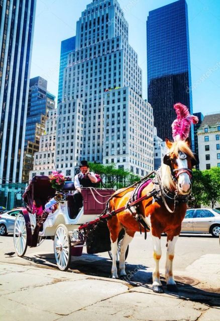 NYC Private Central Park Horse Carriage Ride with Guide - Key Highlights You’ll Actually Feel During the Ride
