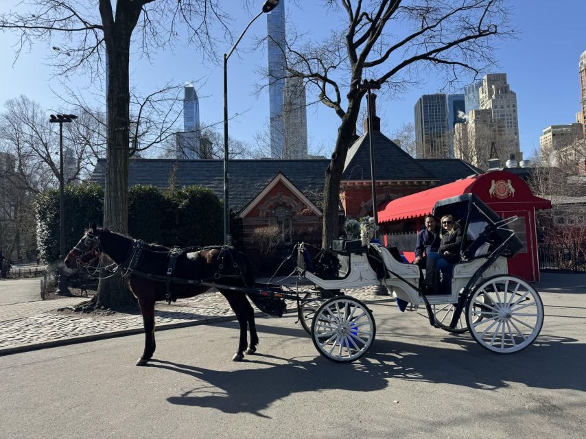 NYC Private Central Park Horse Carriage Ride with Guide - Price Value: $13 Per Group Up to 4