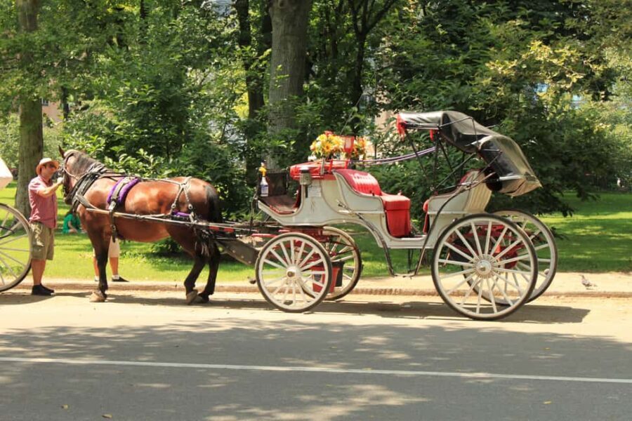 NYC Private Central Park Horse Carriage Ride with Guide - Entering Central Park at 180 Central Park S