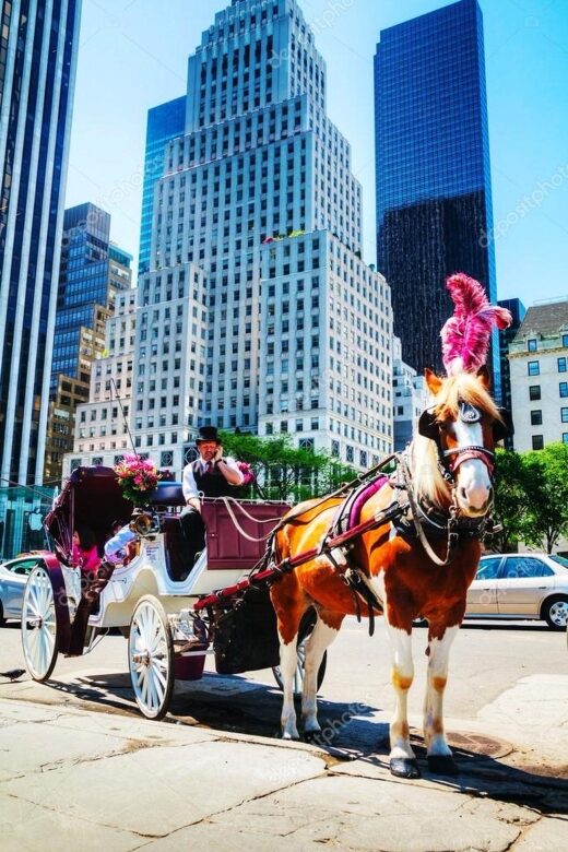NYC Private Central Park Horse Carriage Ride with Guide - From Balto to the Loeb Boathouse: Classic Central Park Edges